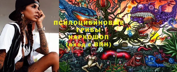стафф Абдулино